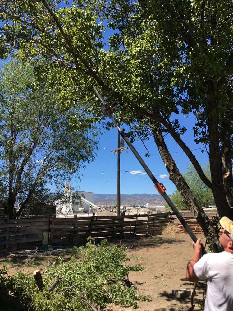 Trusted landscape installation in Grand Junction, CO - A-1 Landscaping & Yard Maintenance