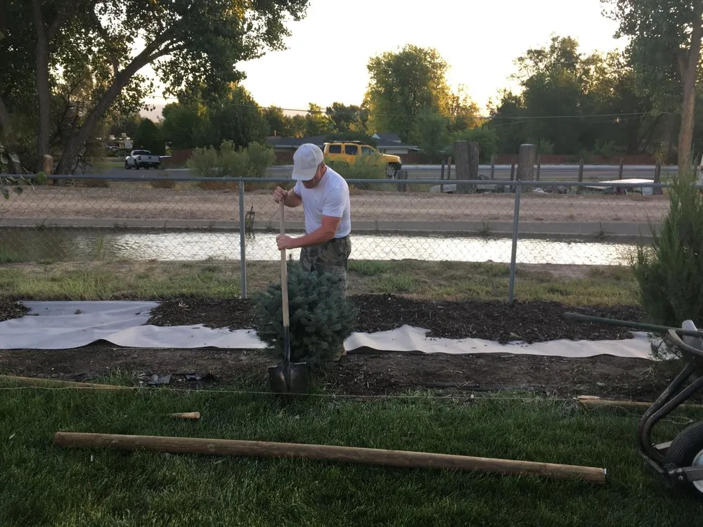 Top-rated lawn care service experts serving Grand Junction, CO - A-1 Landscaping & Yard Maintenance