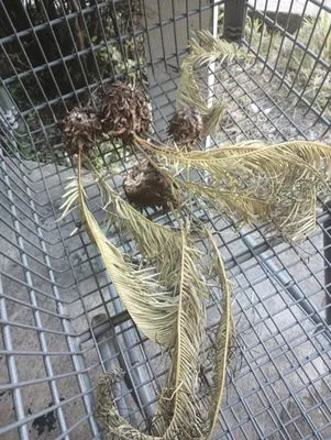 A-1 Landscaping Service Logo