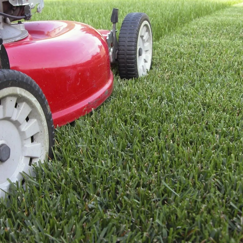 Top-rated landscaping services experts serving Portland, OR - A-1 Lawn & Ground Maintenance