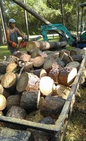 Reliable garden landscaping in Hawthorne, FL by A-1 Lawn and Yard Care