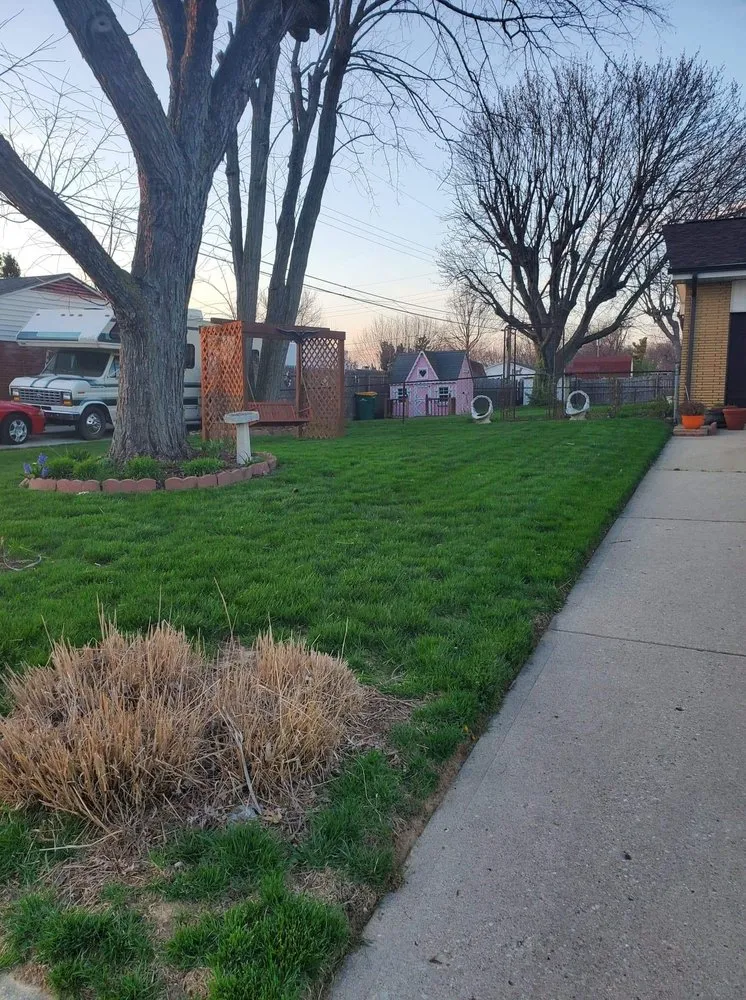 Trusted yard maintenance in Beavercreek, OH - A-1 Lawn Care