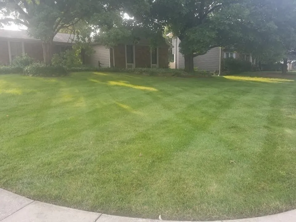 Professional yard cleanup service for homes in Columbus, GA by A-1 Lawn Care