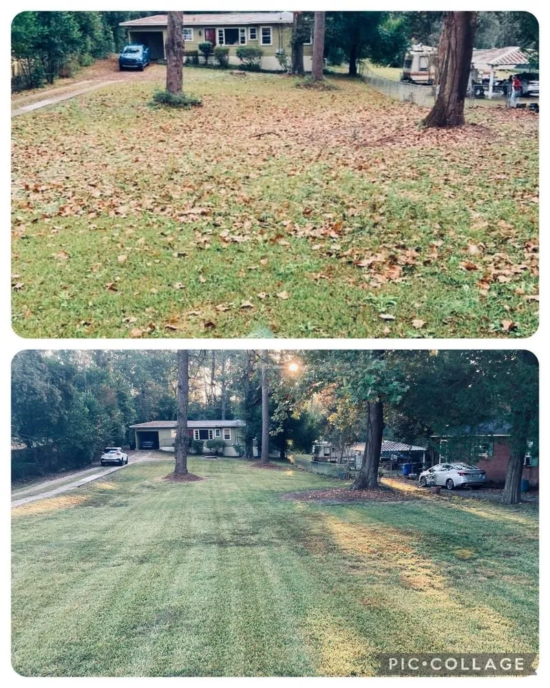 Professional landscape installation for year-round maintenance in Columbus, GA by A-1 Lawn Care