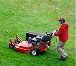 A 1 Lawn Care Logo