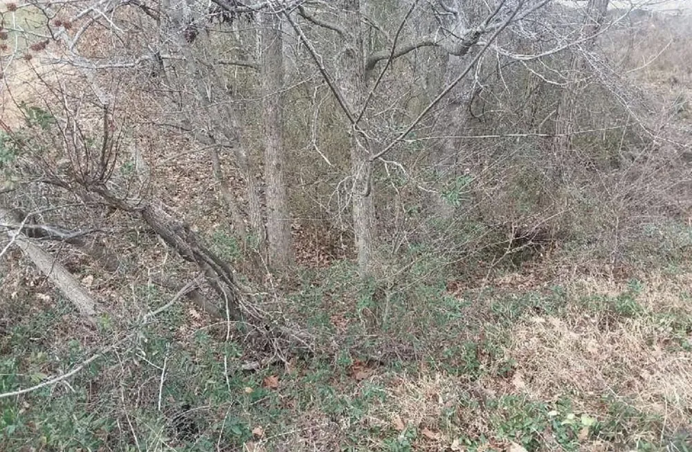 Affordable lawn mowing service for outdoor upgrades across Reidsville, NC - A-1 Lawn Care