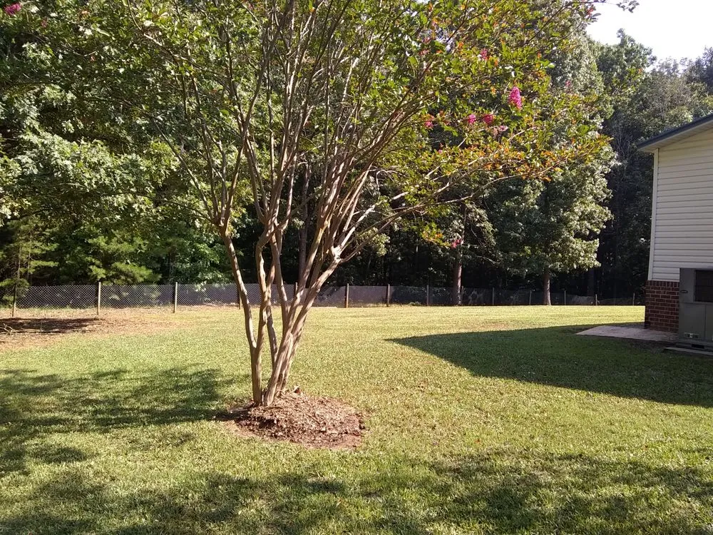 Local landscape installation in Sanford, NC by A-1 Lawn Care
