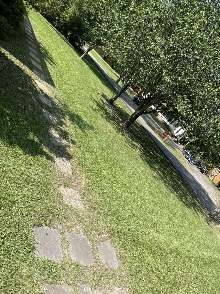 Trusted landscape design for year-round maintenance in Walker, LA by A-1 Lawn Care Solutions