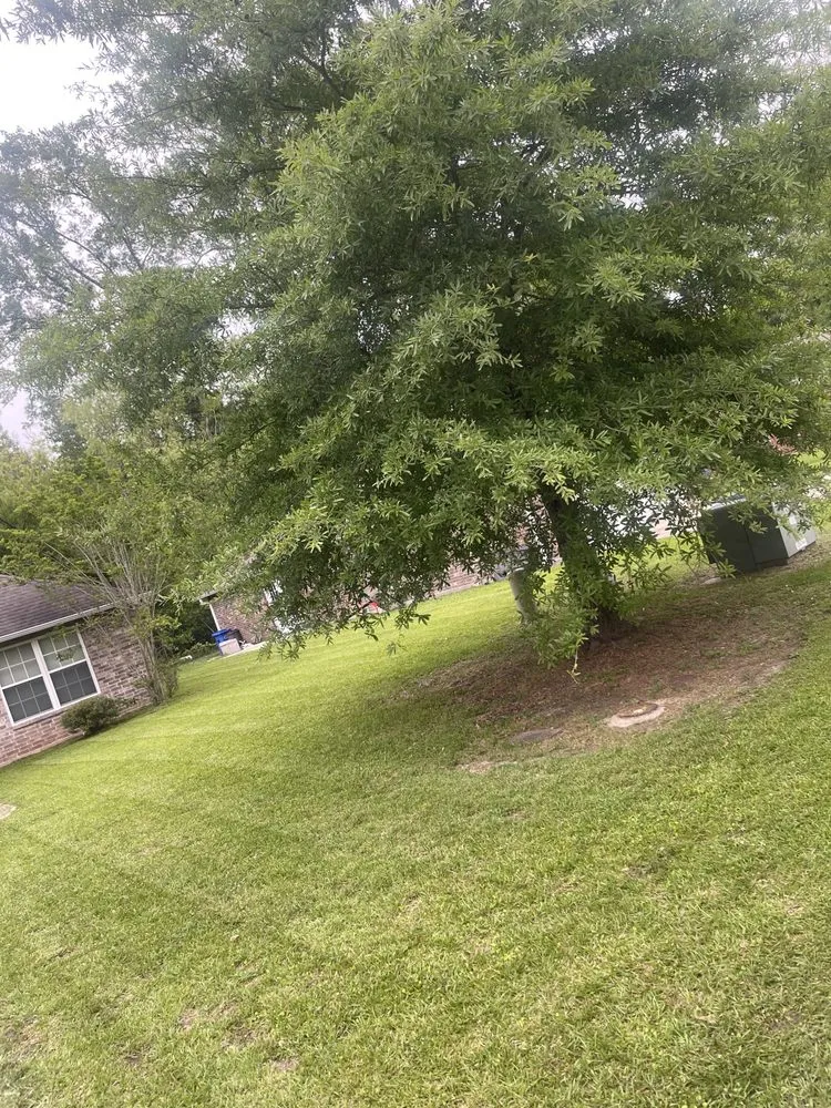 Professional landscape installation in Walker, LA - A-1 Lawn Care Solutions