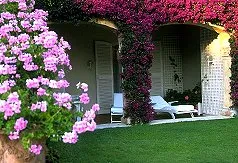 Trusted lawn care service for outdoor upgrades across Erie, CO - A-1 Lawn Service