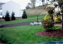 Local lawn care service for year-round maintenance across Erie, CO - A-1 Lawn Service