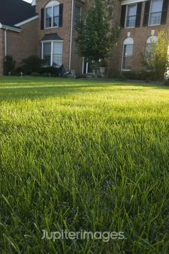 Local landscape design in Erie, CO by A-1 Lawn Service