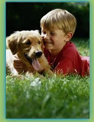 Top-rated landscaping services with custom design in Erie, CO by A-1 Lawn Service