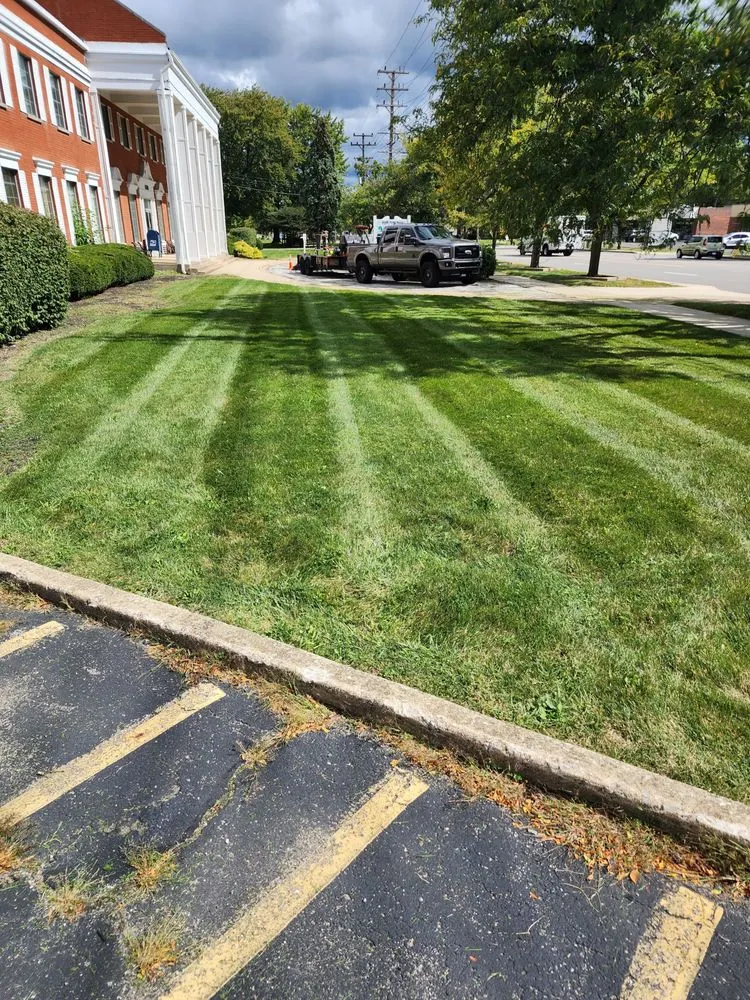 Local yard cleanup service in Parma, OH by A-1 Lawn Service
