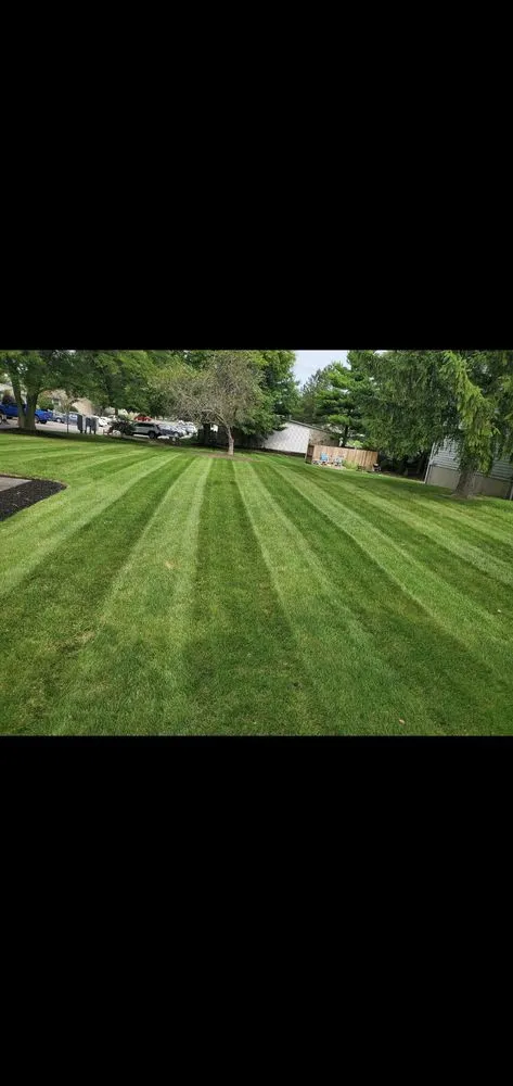 Trusted landscaping services for homes in Parma, OH by A-1 Lawn Service