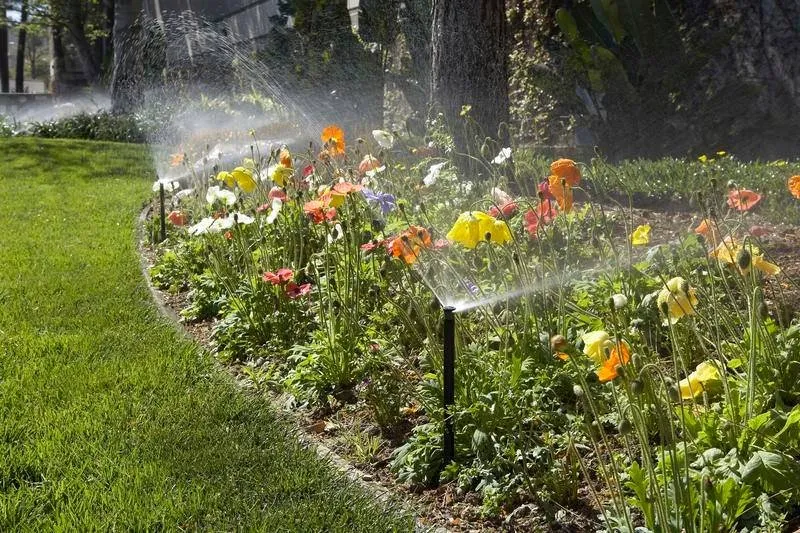 Affordable yard cleanup service for residential properties in Carleton, MI by A-1 Lawn Sprinklers