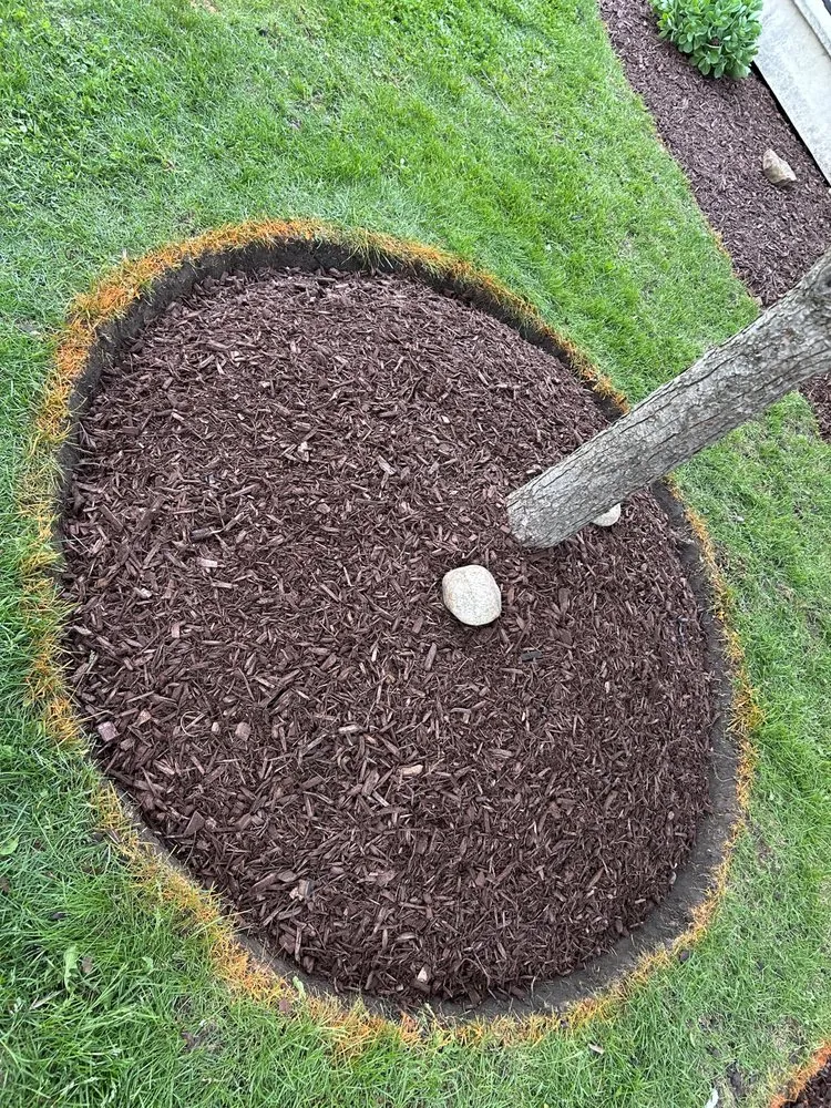 Professional yard cleanup service in Malta, IL - A-1 Munoz Landscaping