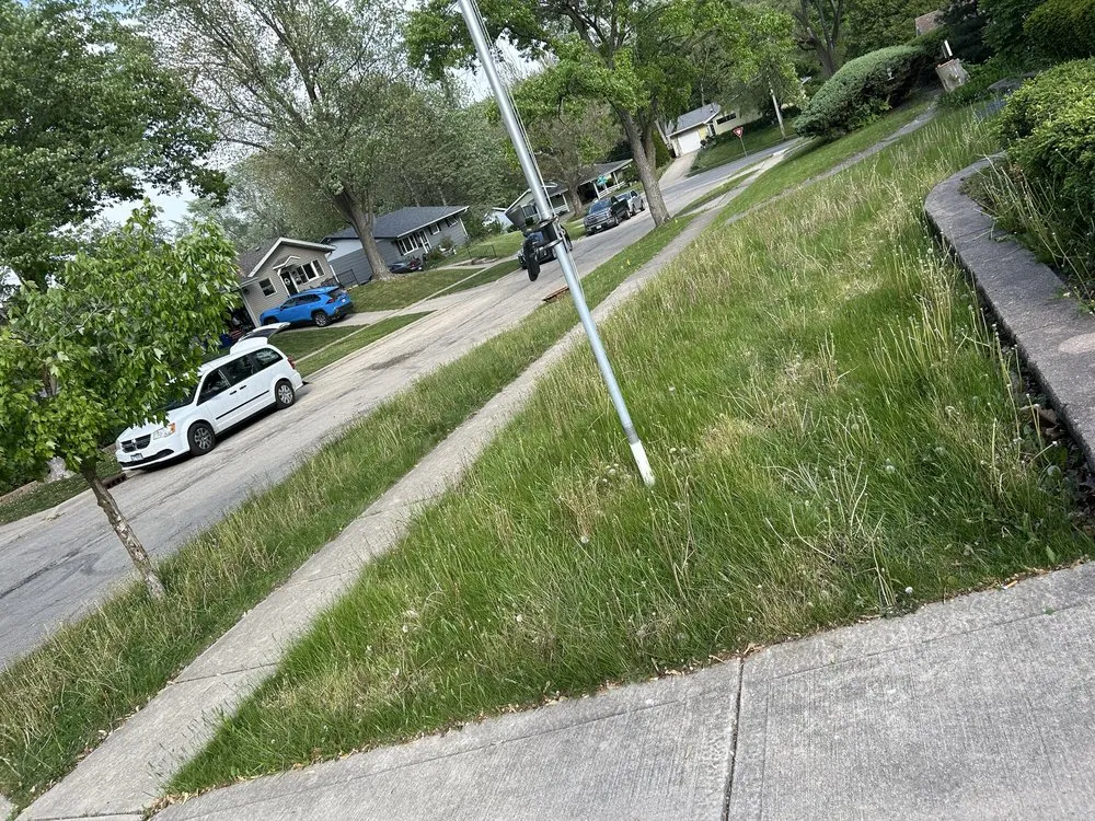 Local residential landscaping in Malta, IL by A-1 Munoz Landscaping