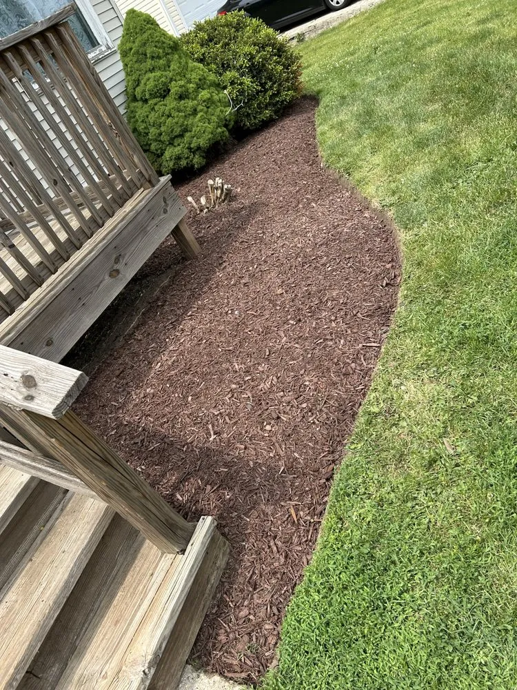 Reliable yard cleanup service for beautiful yards in Malta, IL by A-1 Munoz Landscaping