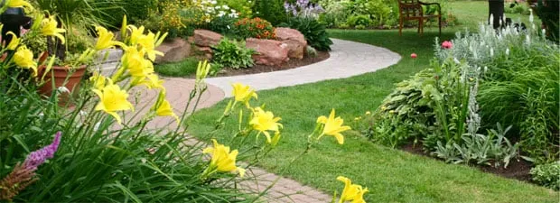 Local yard maintenance for year-round maintenance in Inman, SC by A 1 Newman