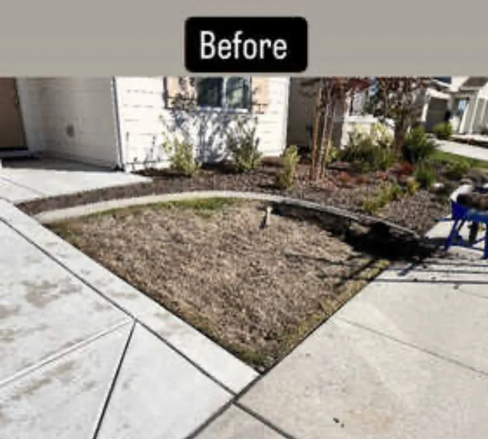 Local landscape installation experts serving Roseville, CA - A-1 Premier Landscaping