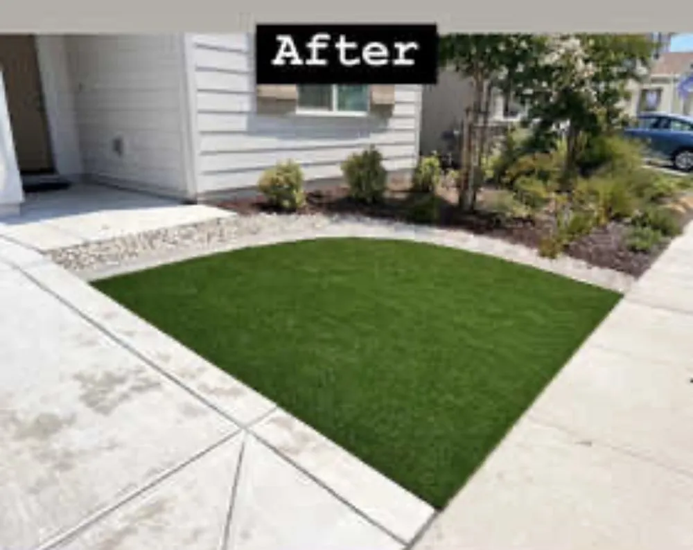 Reliable landscape design for year-round maintenance across Roseville, CA - A-1 Premier Landscaping