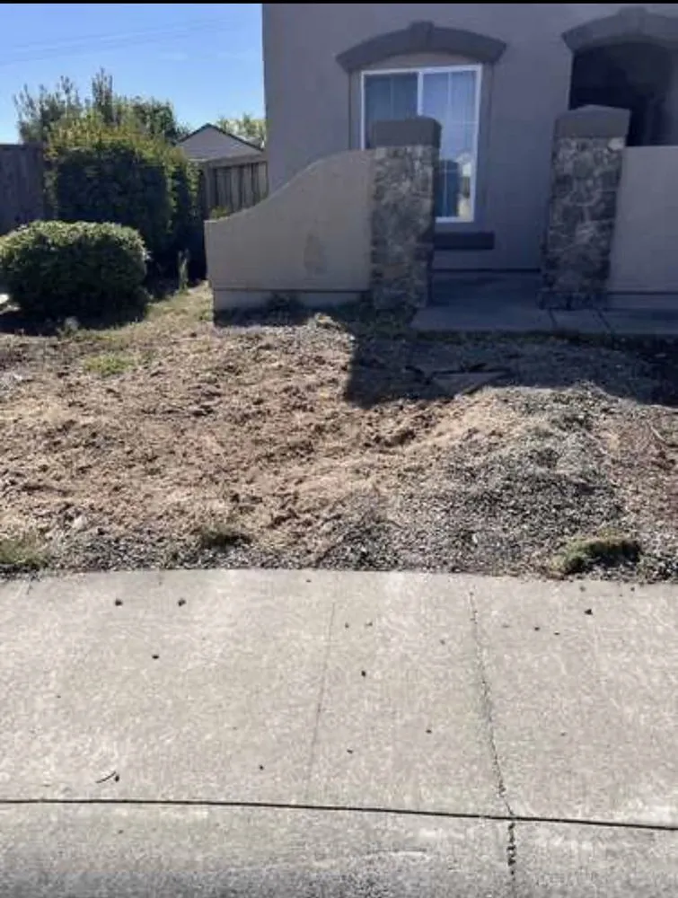 Professional lawn mowing service for outdoor upgrades in Roseville, CA by A-1 Premier Landscaping