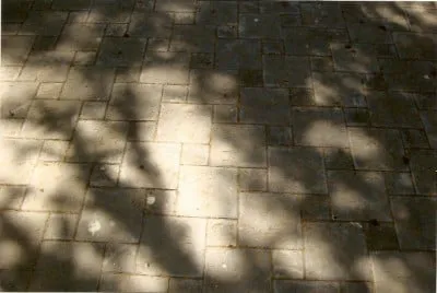 Local outdoor landscaping in Redmond, WA by A-1 Rockey Landscape Service