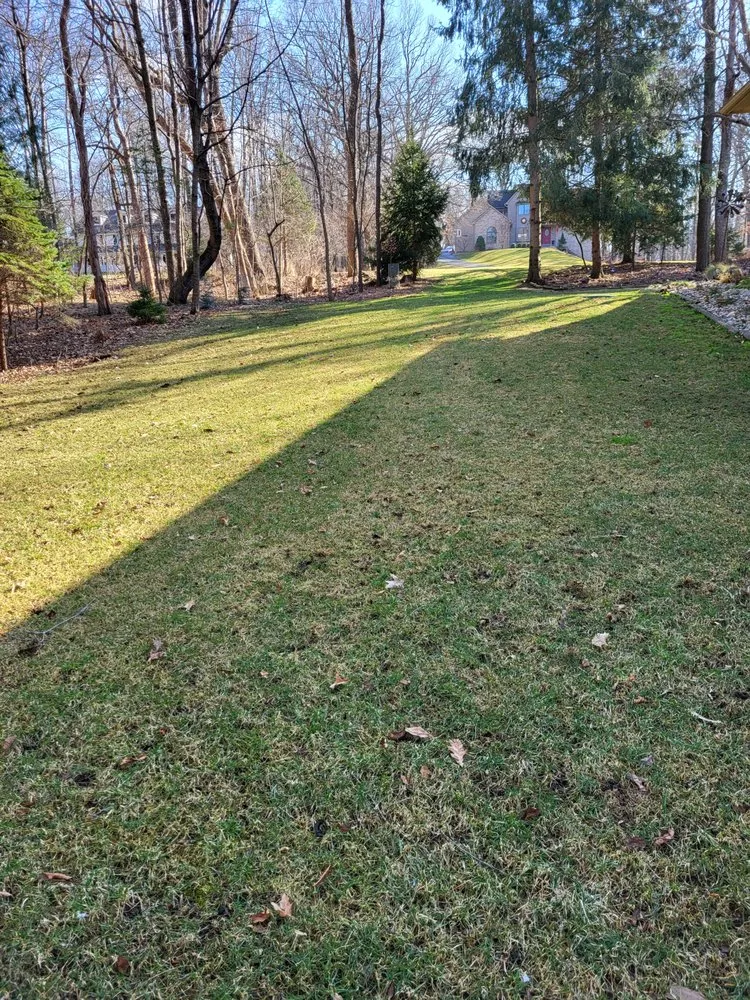 Local residential landscaping for beautiful yards across Lansing, MI - A 1 Service