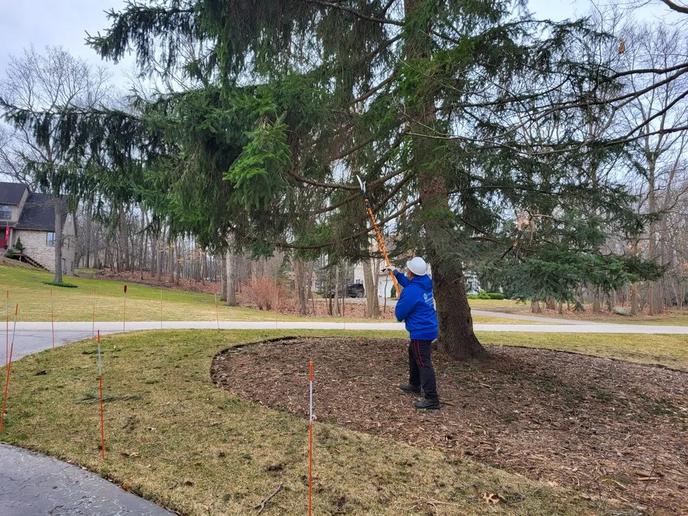 Trusted landscape design for year-round maintenance across Lansing, MI - A 1 Service