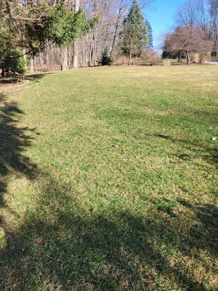 Professional garden landscaping in Lansing, MI - A 1 Service