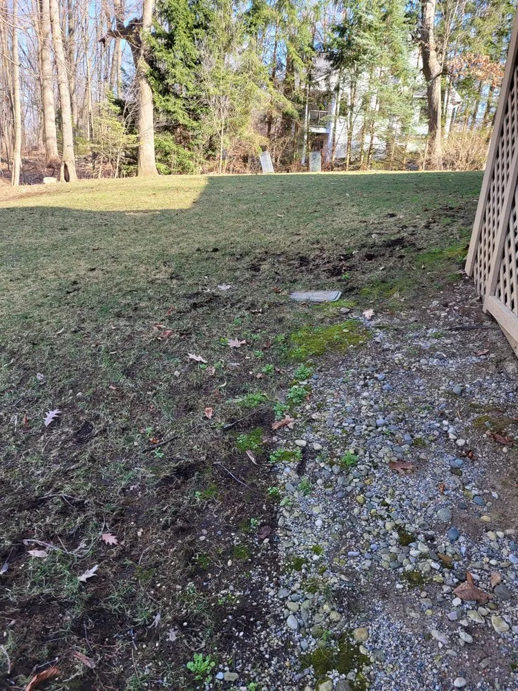 Expert yard maintenance for outdoor upgrades across Lansing, MI - A 1 Service