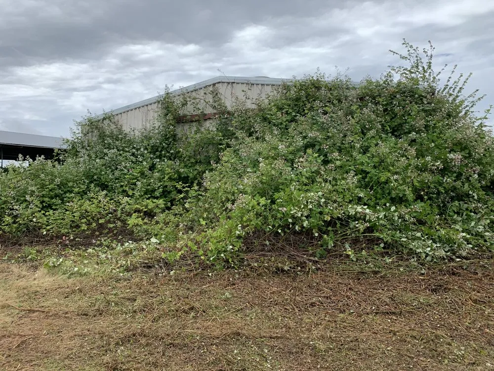 Trusted landscape installation in Veneta, OR by A-1 Services