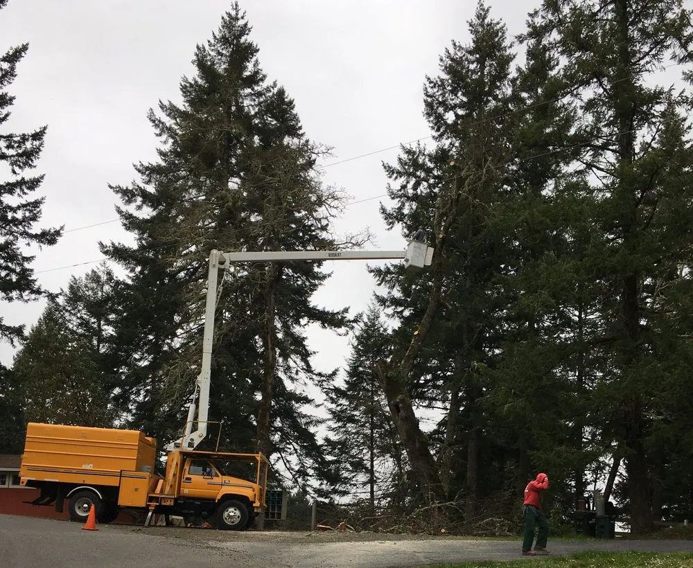 Top-rated residential landscaping in Veneta, OR - A-1 Services