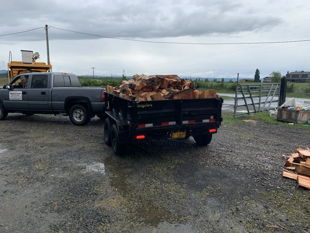 Local yard cleanup service in Veneta, OR by A-1 Services