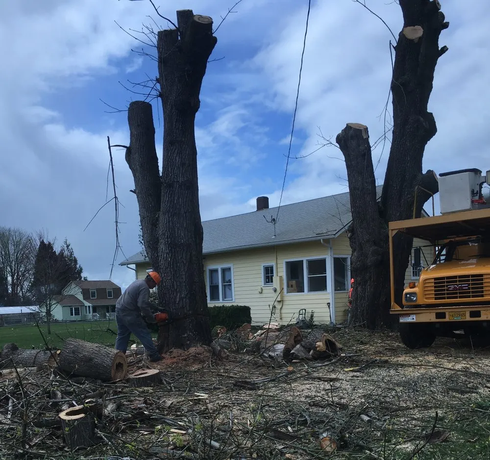Local yard cleanup service in Veneta, OR - A-1 Services