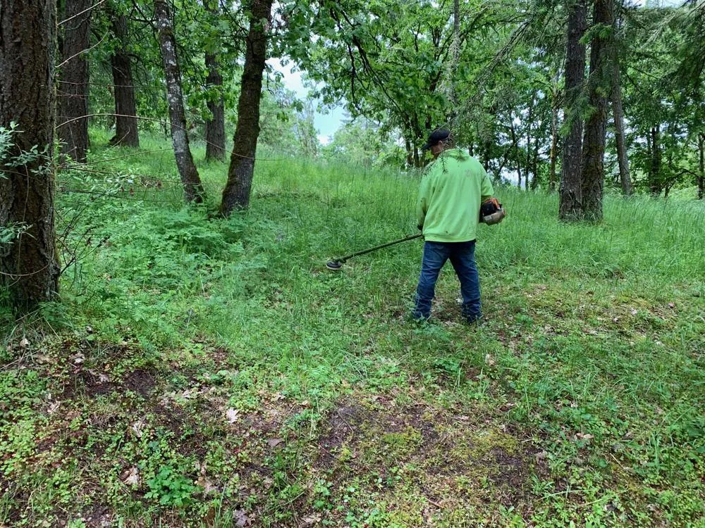 Expert landscaping services for residential properties across Veneta, OR - A-1 Services