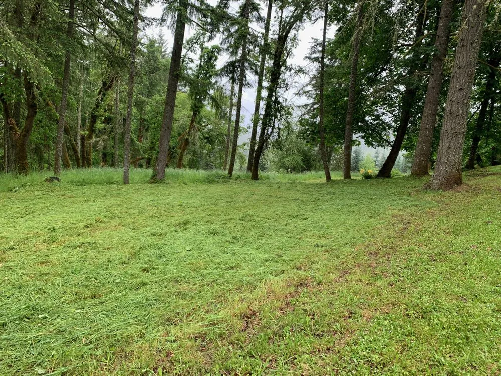 Expert lawn care service experts serving Veneta, OR - A-1 Services