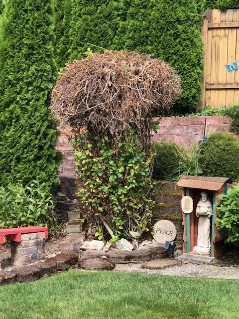 Reliable landscape design in Renton, WA - A-1 Sheer Gardening & Landscaping