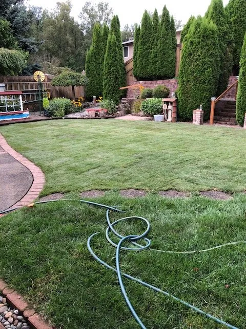 Reliable garden landscaping in Renton, WA - A-1 Sheer Gardening & Landscaping