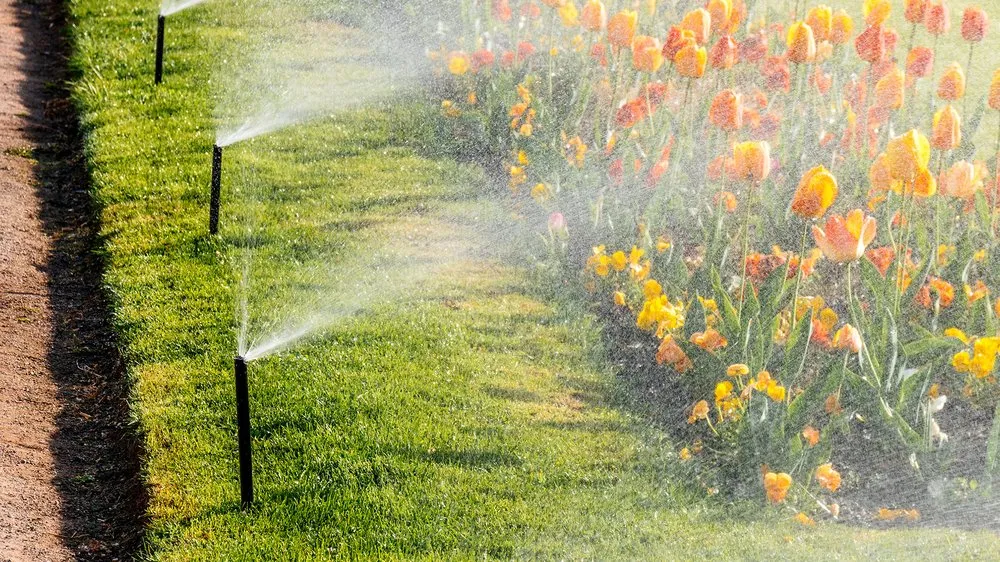 Affordable yard cleanup service in Gainesville, TX - A-1 Sprinkler and Landscape of North Texas