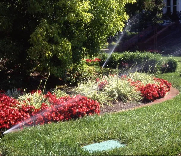 Reliable yard maintenance experts serving Gainesville, TX - A-1 Sprinkler and Landscape of North Texas