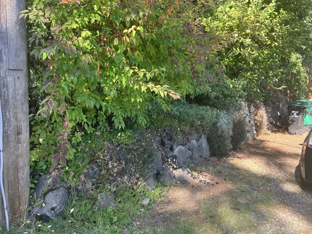 Trusted lawn care service experts serving Seatac, WA - A-1 Stone Landscaping & Construction