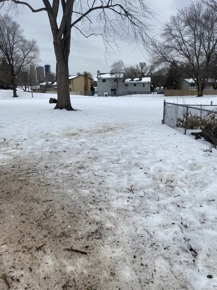 Local landscape design experts serving Anoka, MN - A-1 stump Monkey