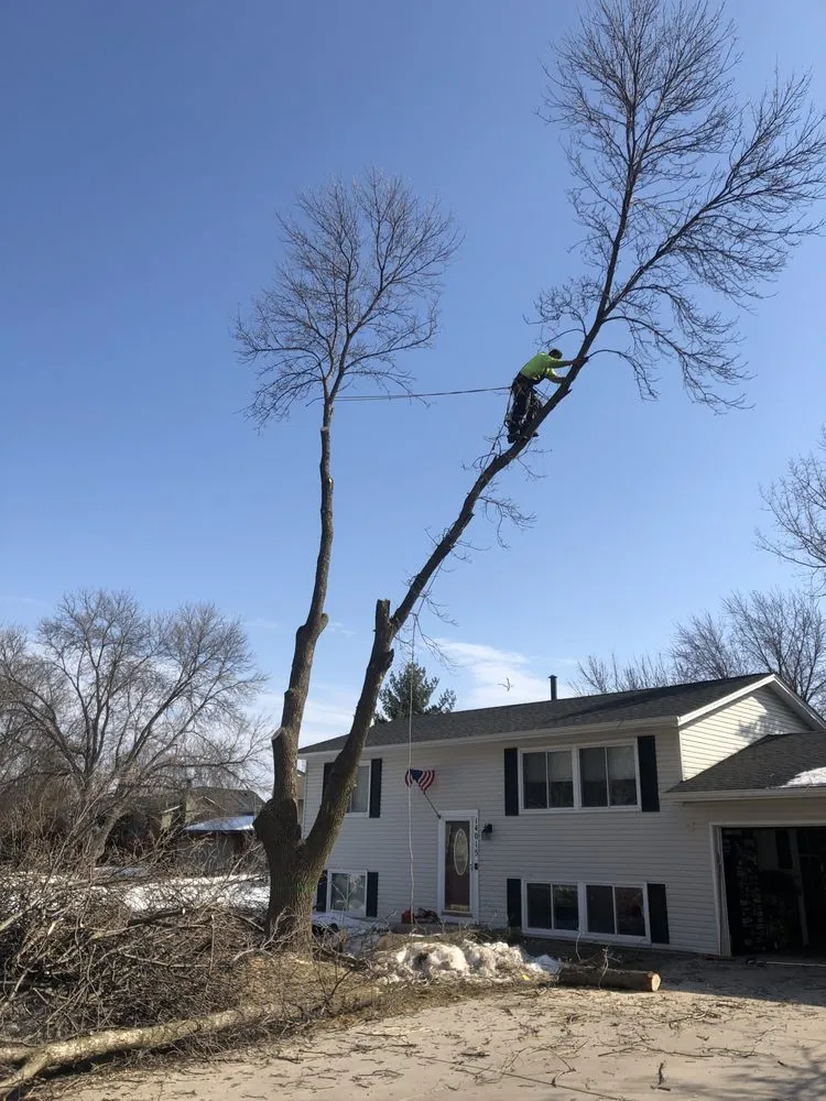 Reliable residential landscaping for residential properties in Anoka, MN by A-1 stump Monkey