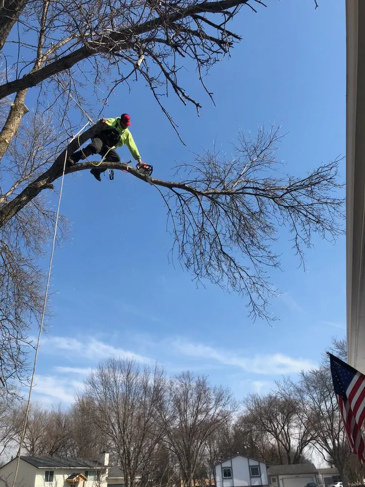 Professional residential landscaping for outdoor upgrades in Anoka, MN by A-1 stump Monkey