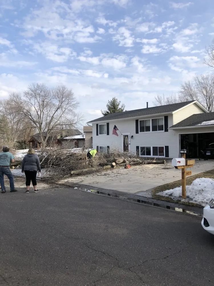 Expert yard maintenance in Anoka, MN by A-1 stump Monkey