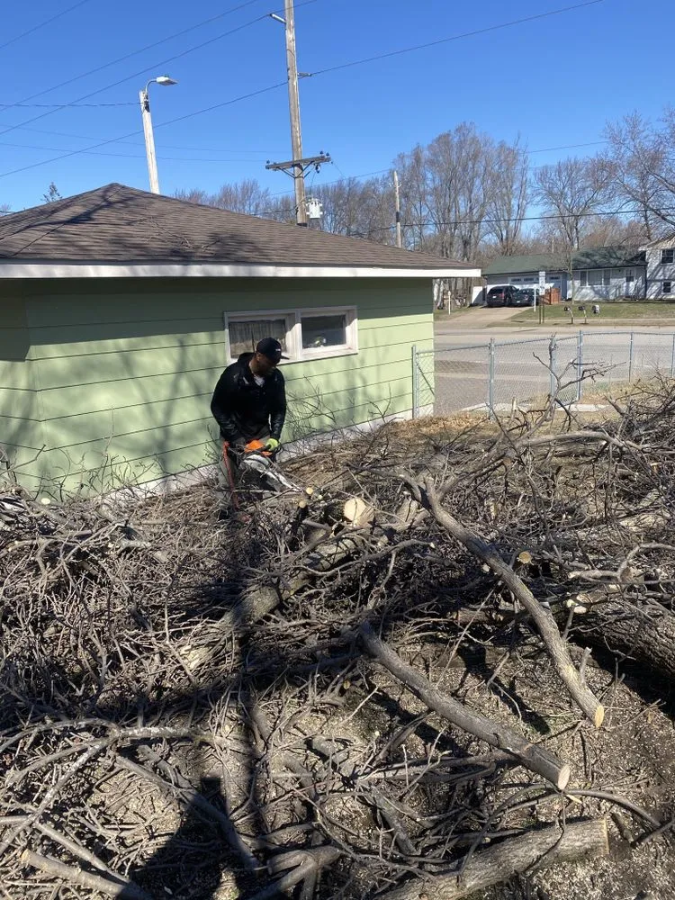 Custom landscape design for beautiful yards across Anoka, MN - A-1 stump Monkey