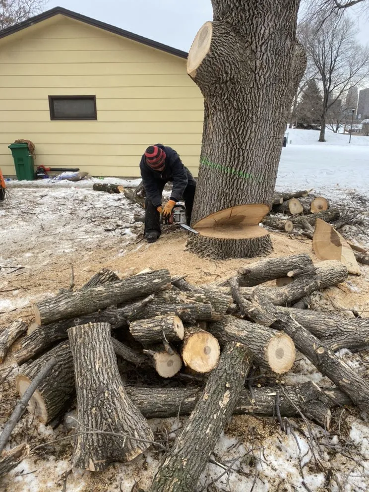 Expert lawn mowing service with custom design across Anoka, MN - A-1 stump Monkey