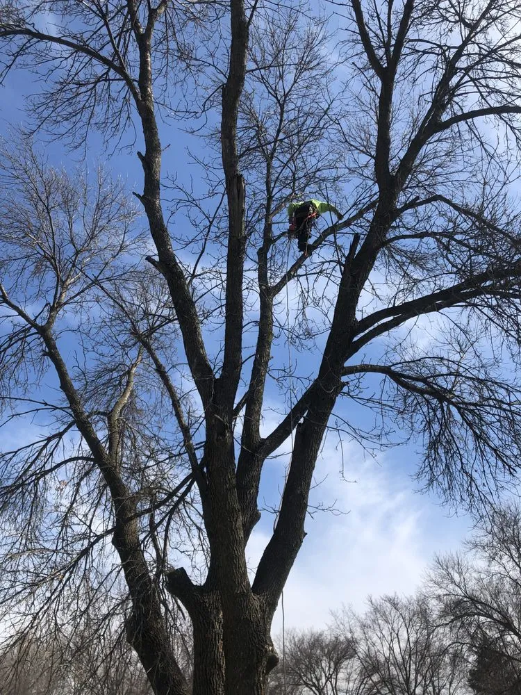 Custom outdoor landscaping in Anoka, MN - A-1 stump Monkey